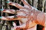 hennaed belly dancer hands